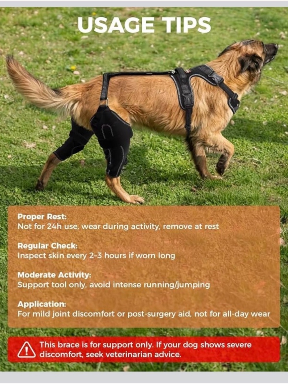 Adjustable Black Rear Support Harness for Dogs - Mobility Aid - Picture 9 of 11